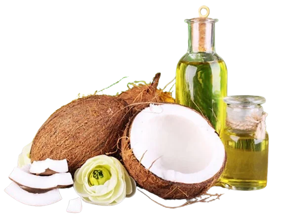 Sản phẩm Hải Đăng