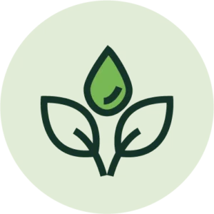 Nguyên liệu sạch